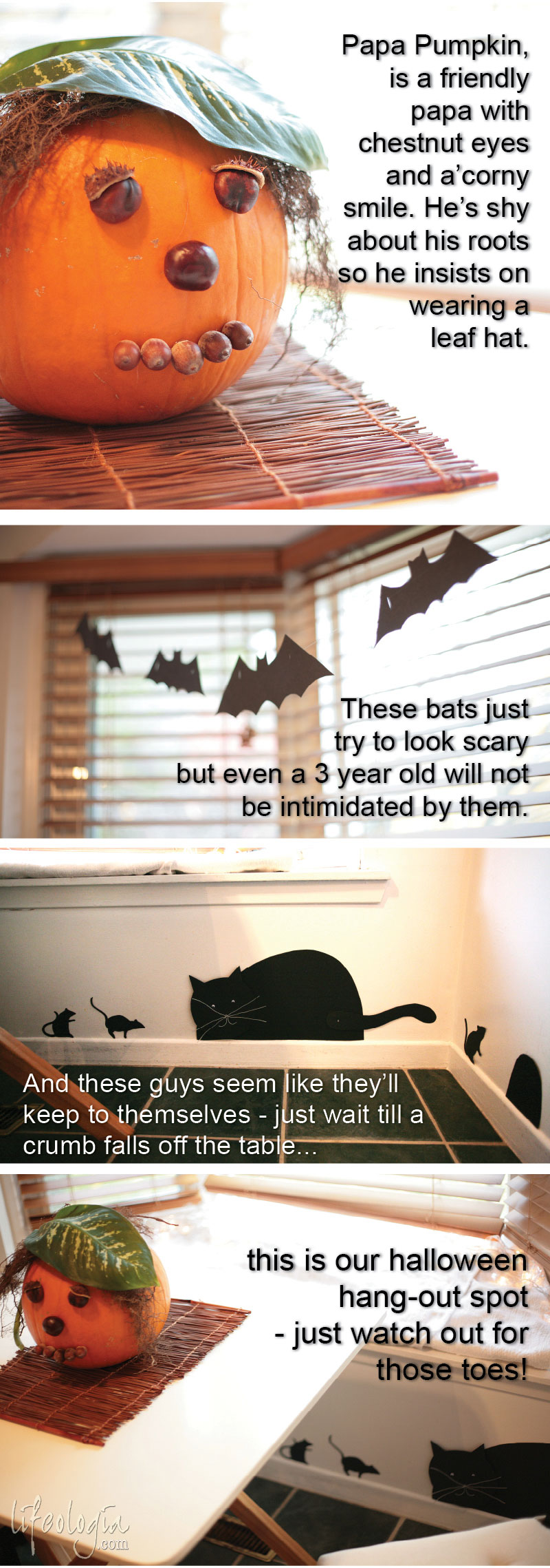 halloween-decorations inexpensive diy cat, mouse, bats, creative pumpkin