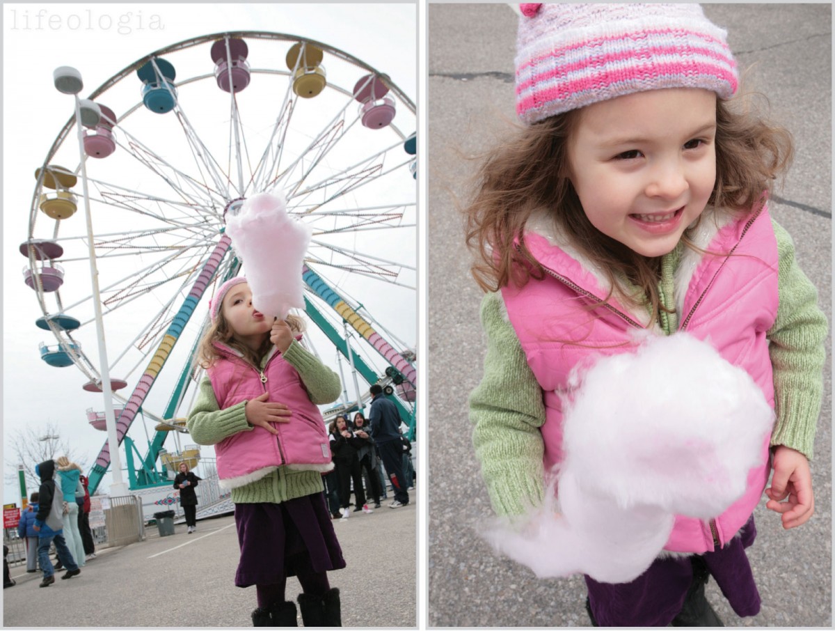 amusement-park2-cotton-candy