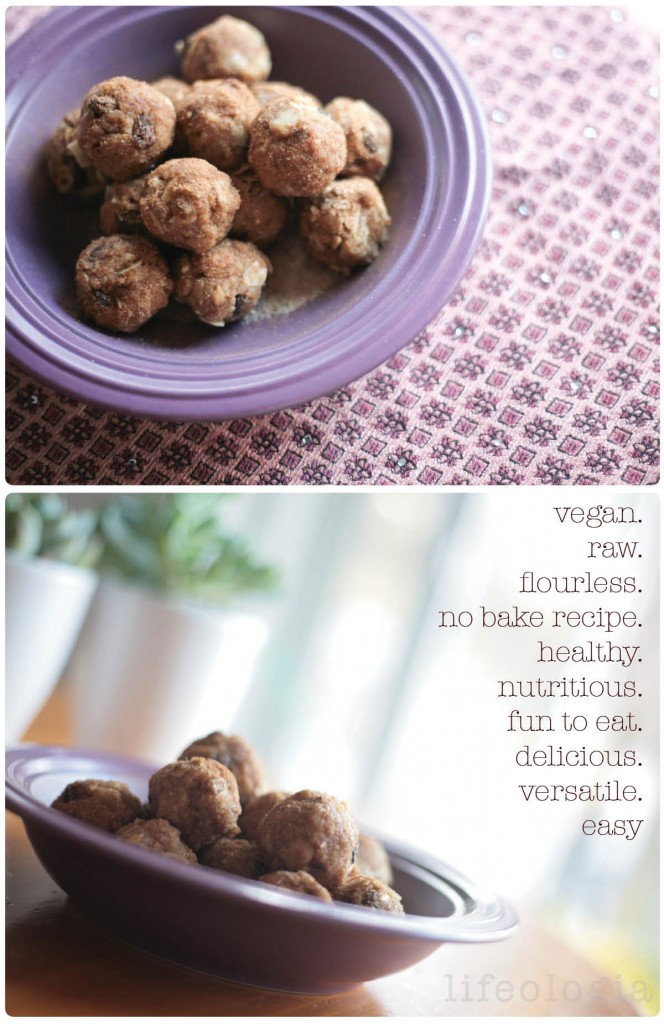 spiced-dessert-balls2