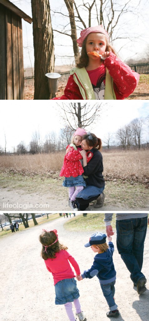 maple-syrup-festival
