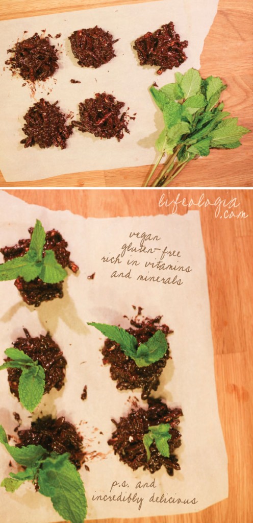 lifeologia-sweet-seedlings-from-the-earth-an-earth-day-vegan-treat4