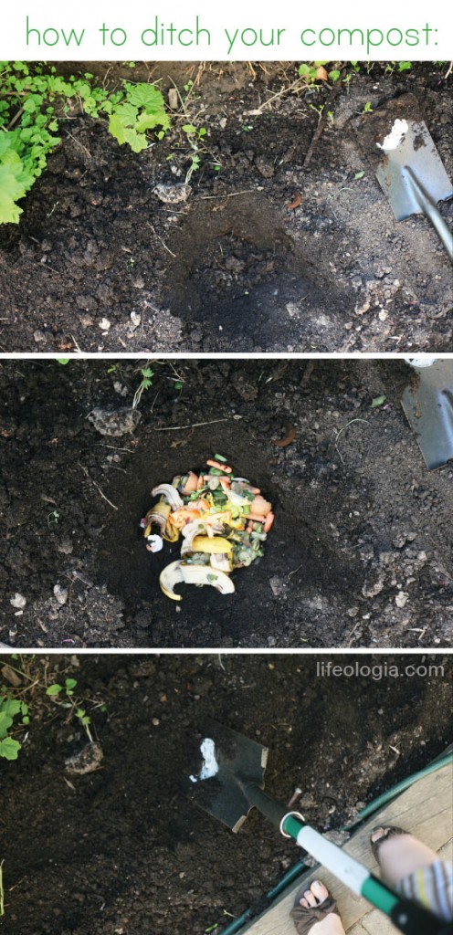 lifeologia-how-to-ditch-your-compost