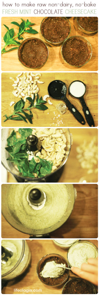 lifeologia-mint-chocolate-cheesecake2