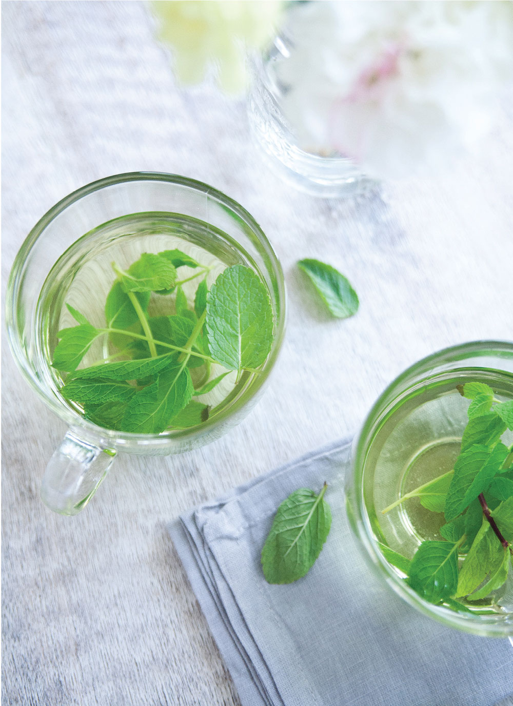 How to make Fresh Mint Tea, Recipe