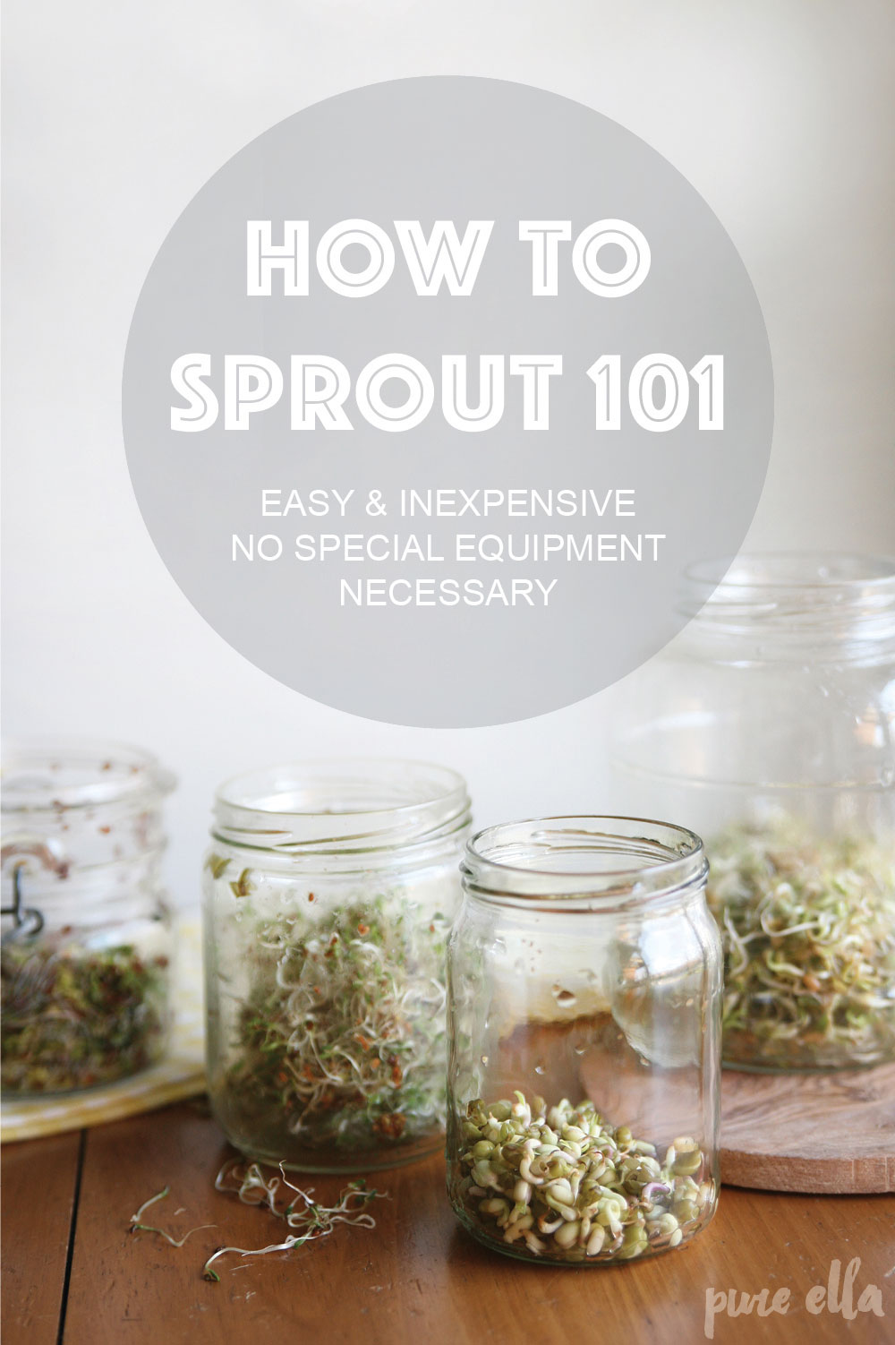 How-to-Sprout-101