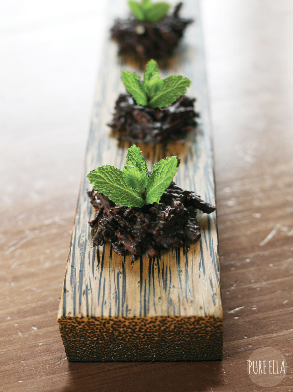 Pure-Ella-Sweet-Seedlings-with-chocolate-dirt8