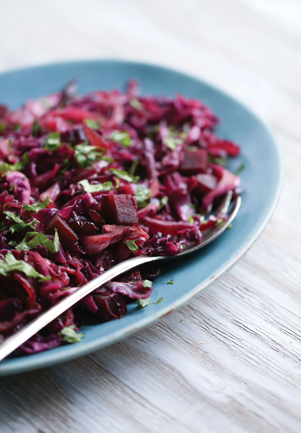 red-cabbage-beet-slaw3