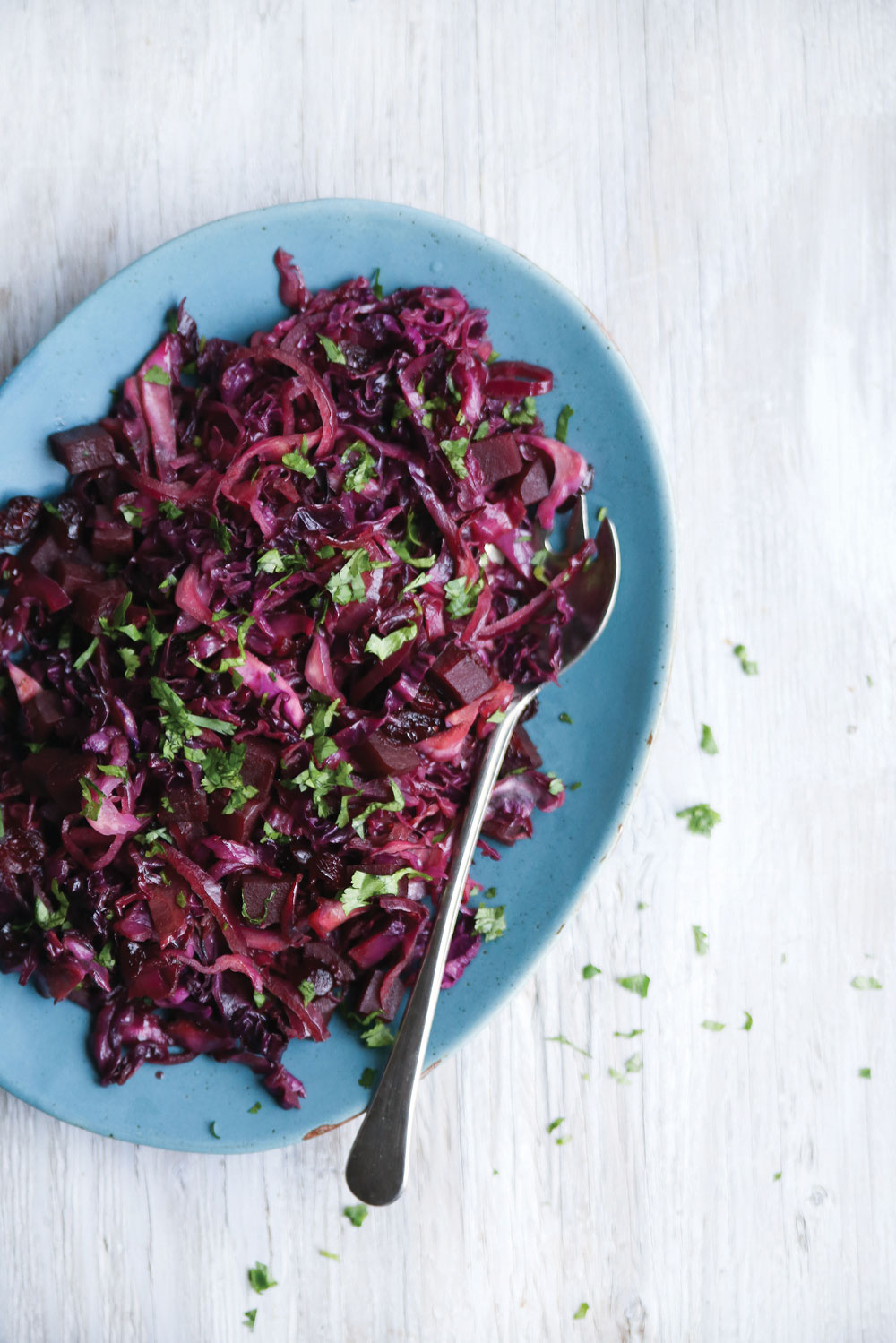 red-cabbage-beet-slaw4