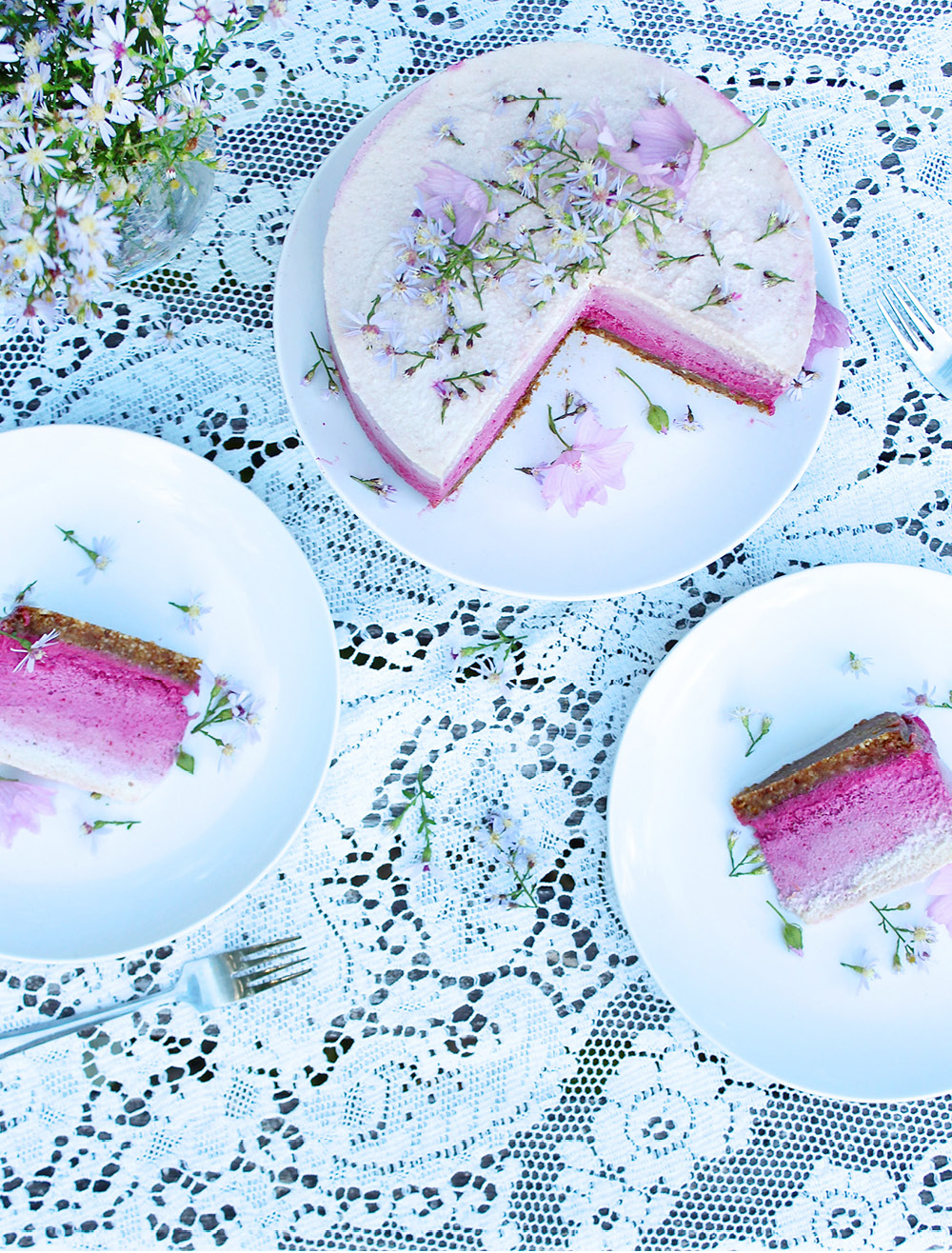 vegan-ombre-cheesecake5